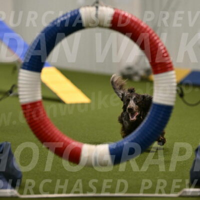 Captain-Hook-Tim-Pinneri-00669