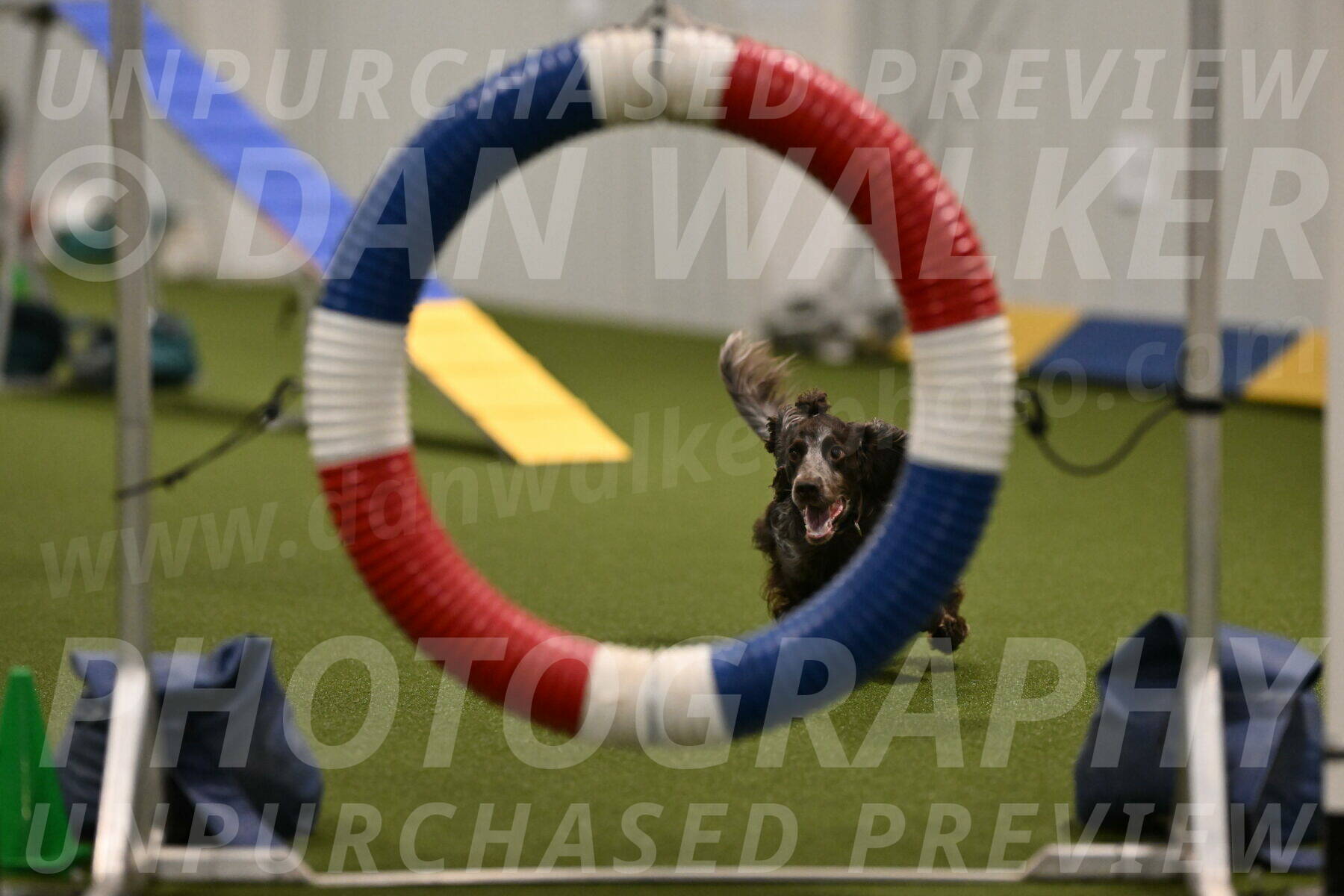 Captain-Hook-Tim-Pinneri-00669