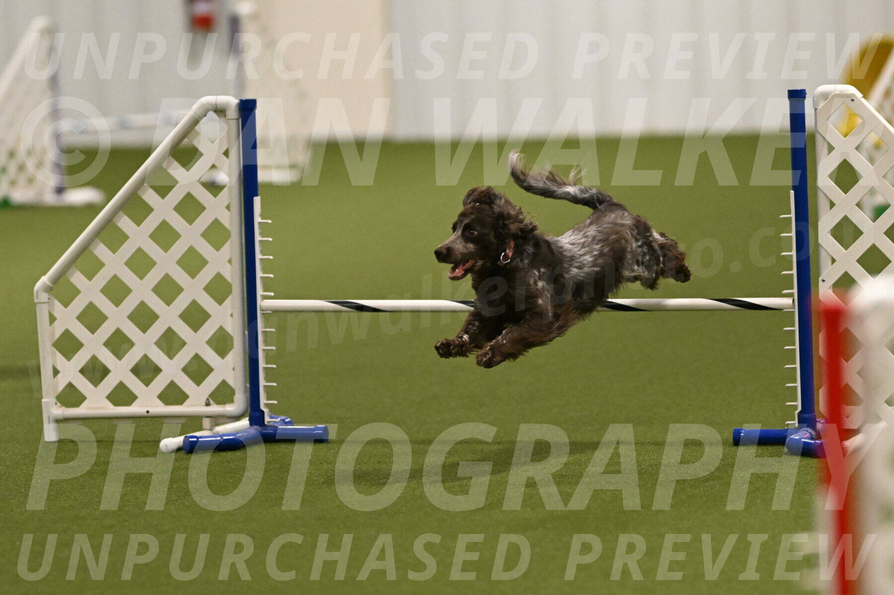 Captain-Hook-Tim-Pinneri-00683