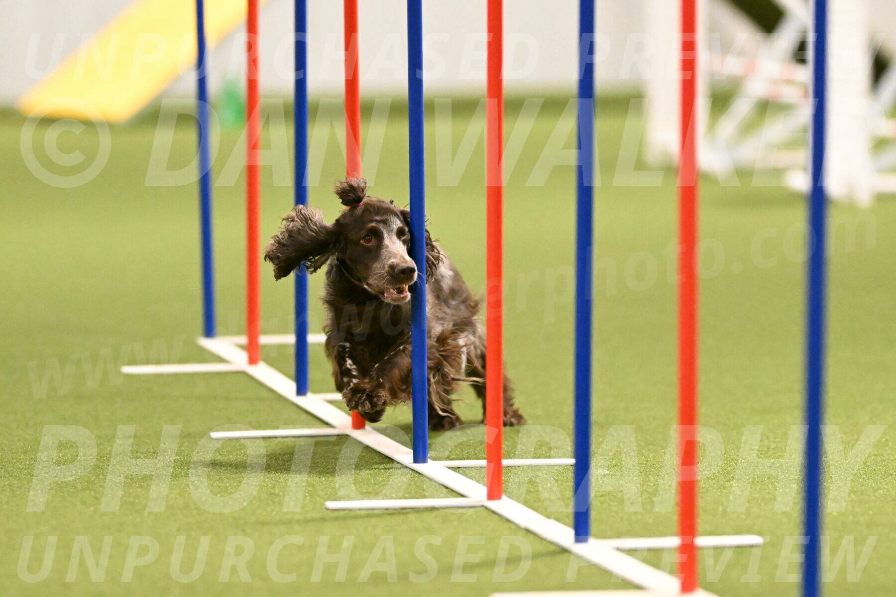 Captain-Hook-Tim-Pinneri-00724
