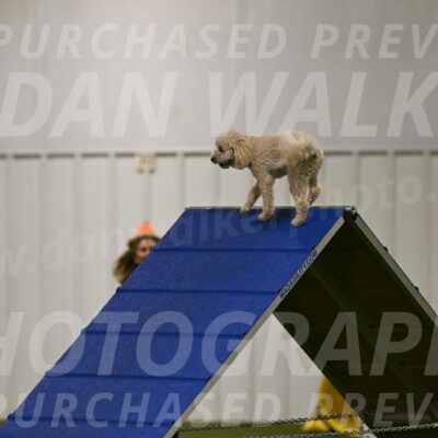 Charlie-Barbara-Thomas-05948