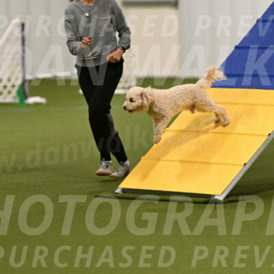 Charlie-Barbara-Thomas-05949