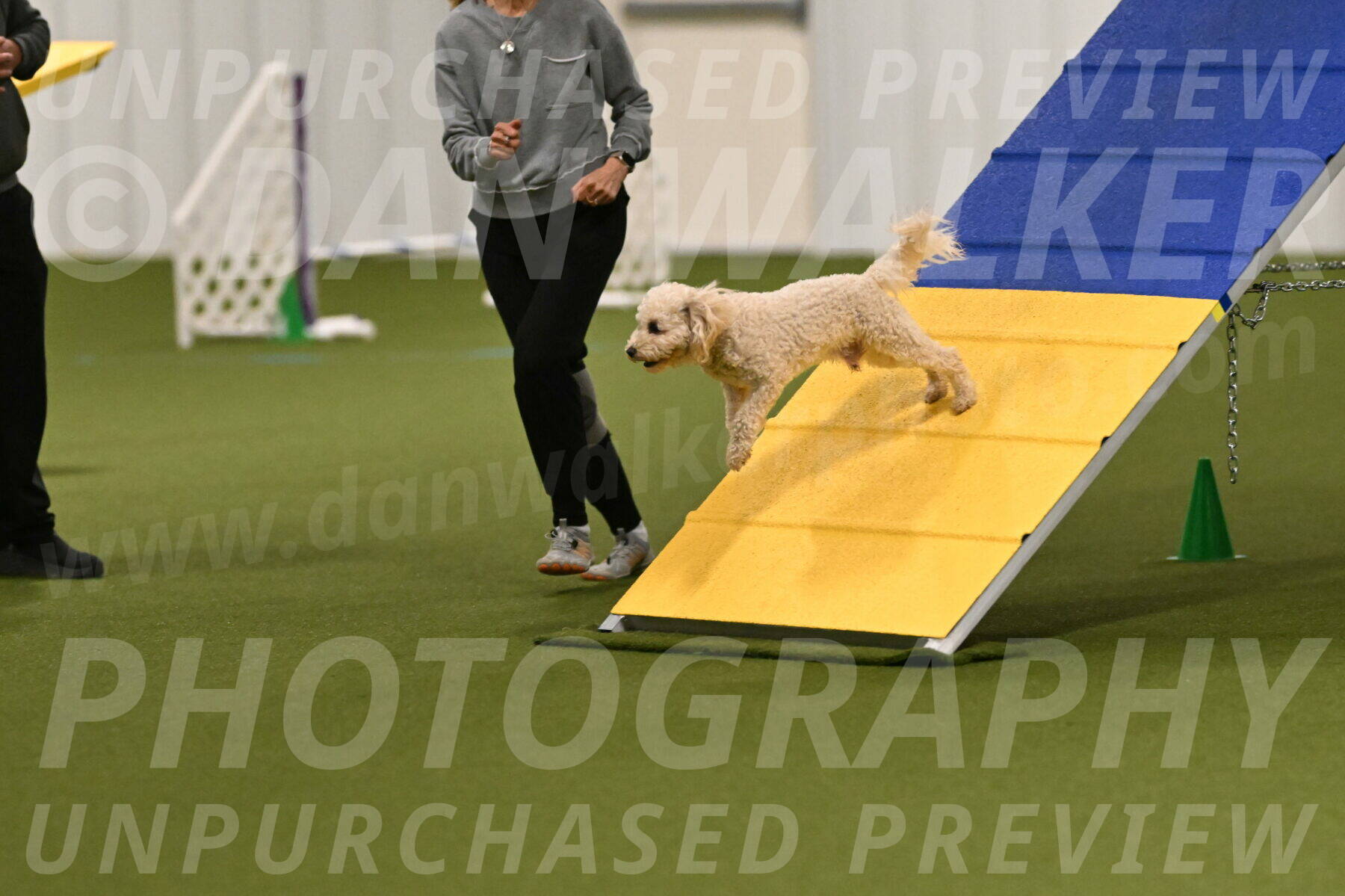 Charlie-Barbara-Thomas-05949