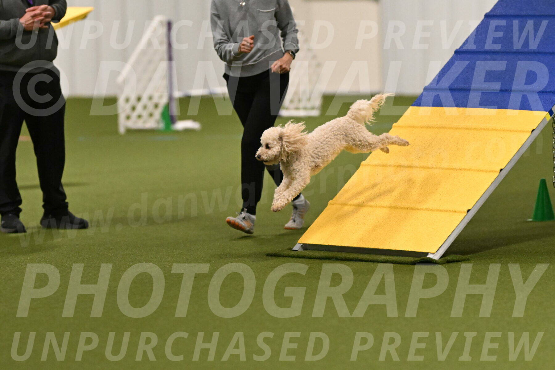 Charlie-Barbara-Thomas-05950