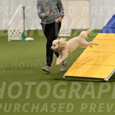 Charlie-Barbara-Thomas-05950