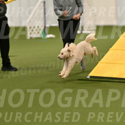 Charlie-Barbara-Thomas-05951