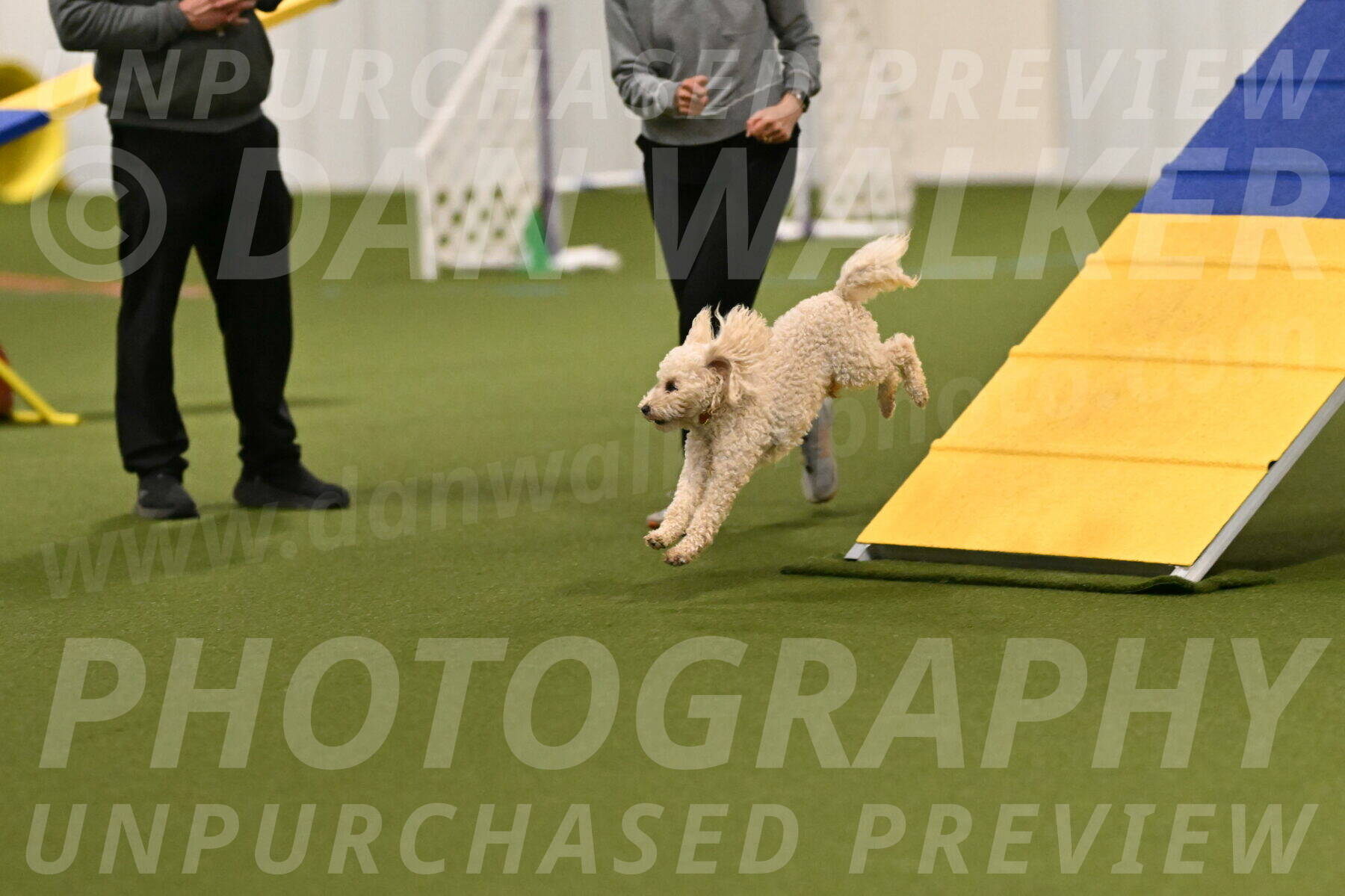 Charlie-Barbara-Thomas-05951