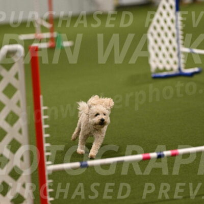 Charlie-Barbara-Thomas-05952