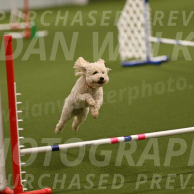 Charlie-Barbara-Thomas-05953