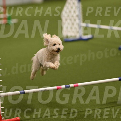 Charlie-Barbara-Thomas-05954