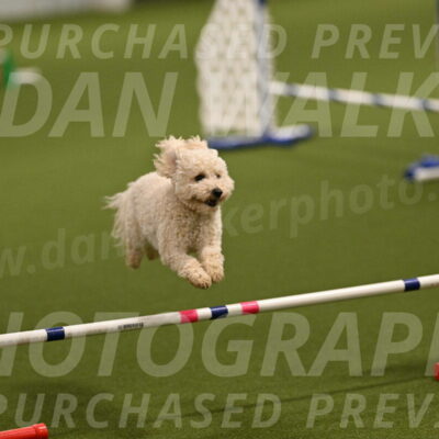 Charlie-Barbara-Thomas-05955