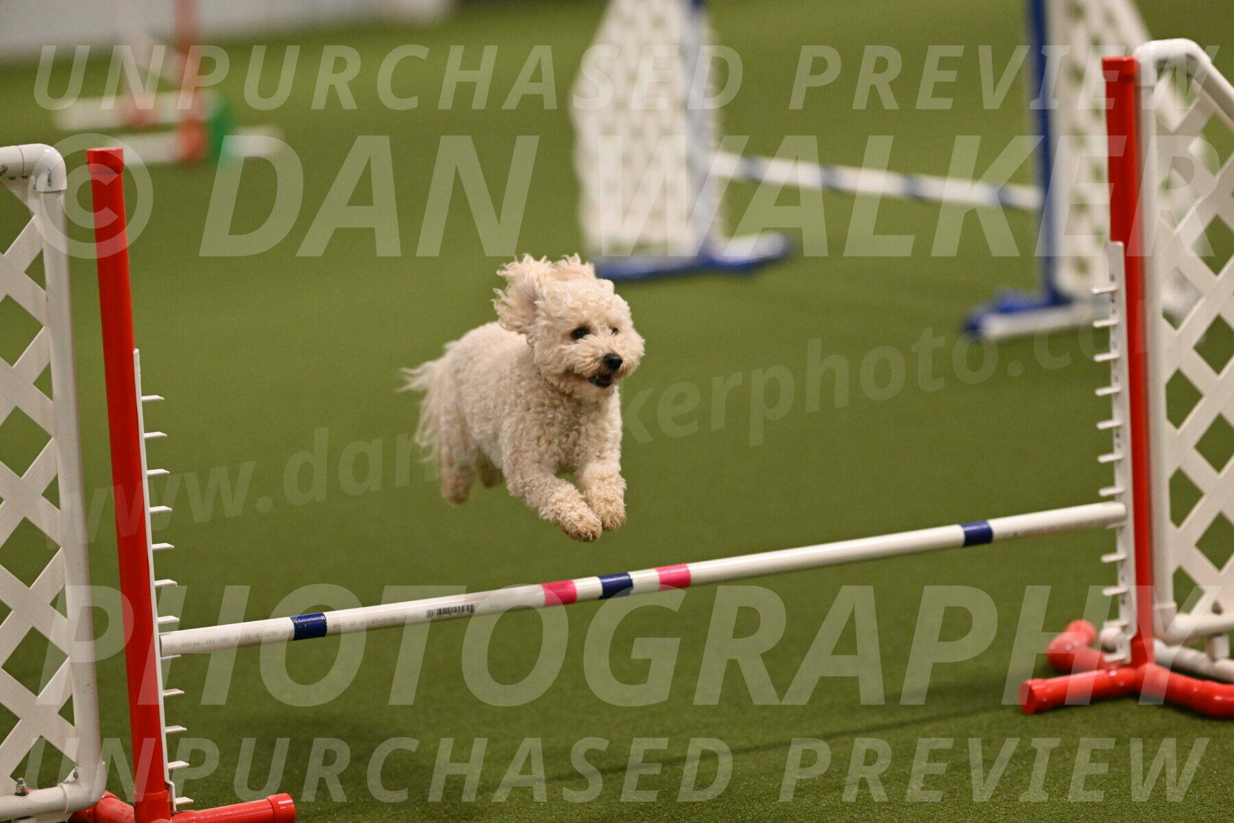 Charlie-Barbara-Thomas-05955