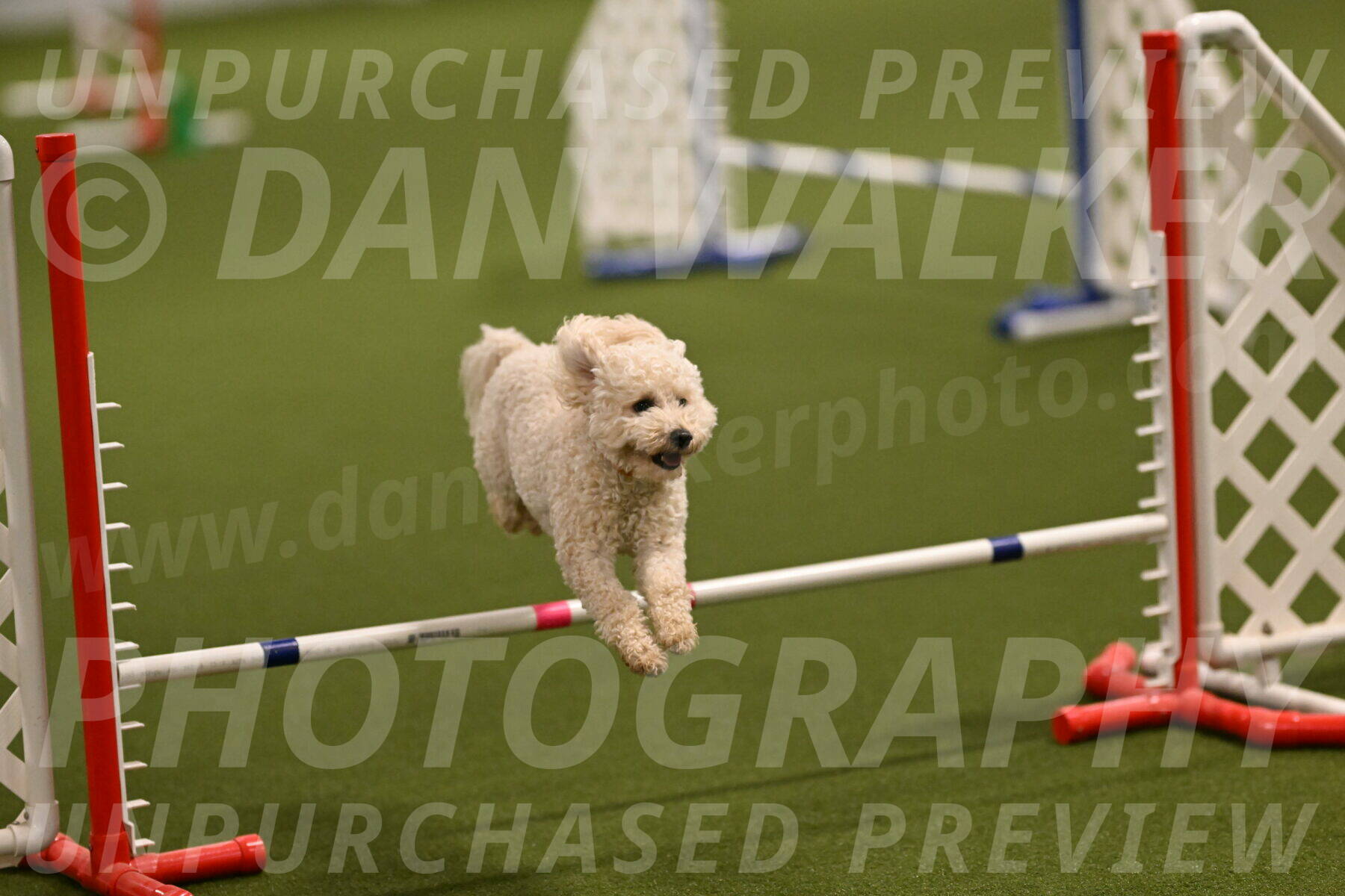 Charlie-Barbara-Thomas-05956