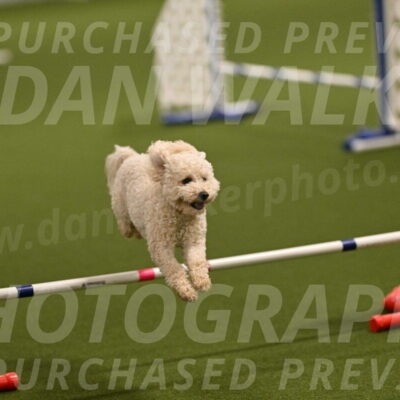 Charlie-Barbara-Thomas-05956