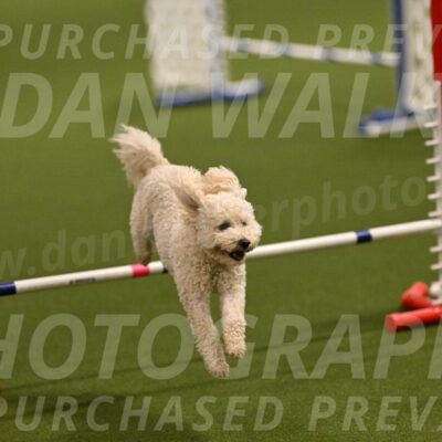 Charlie-Barbara-Thomas-05957