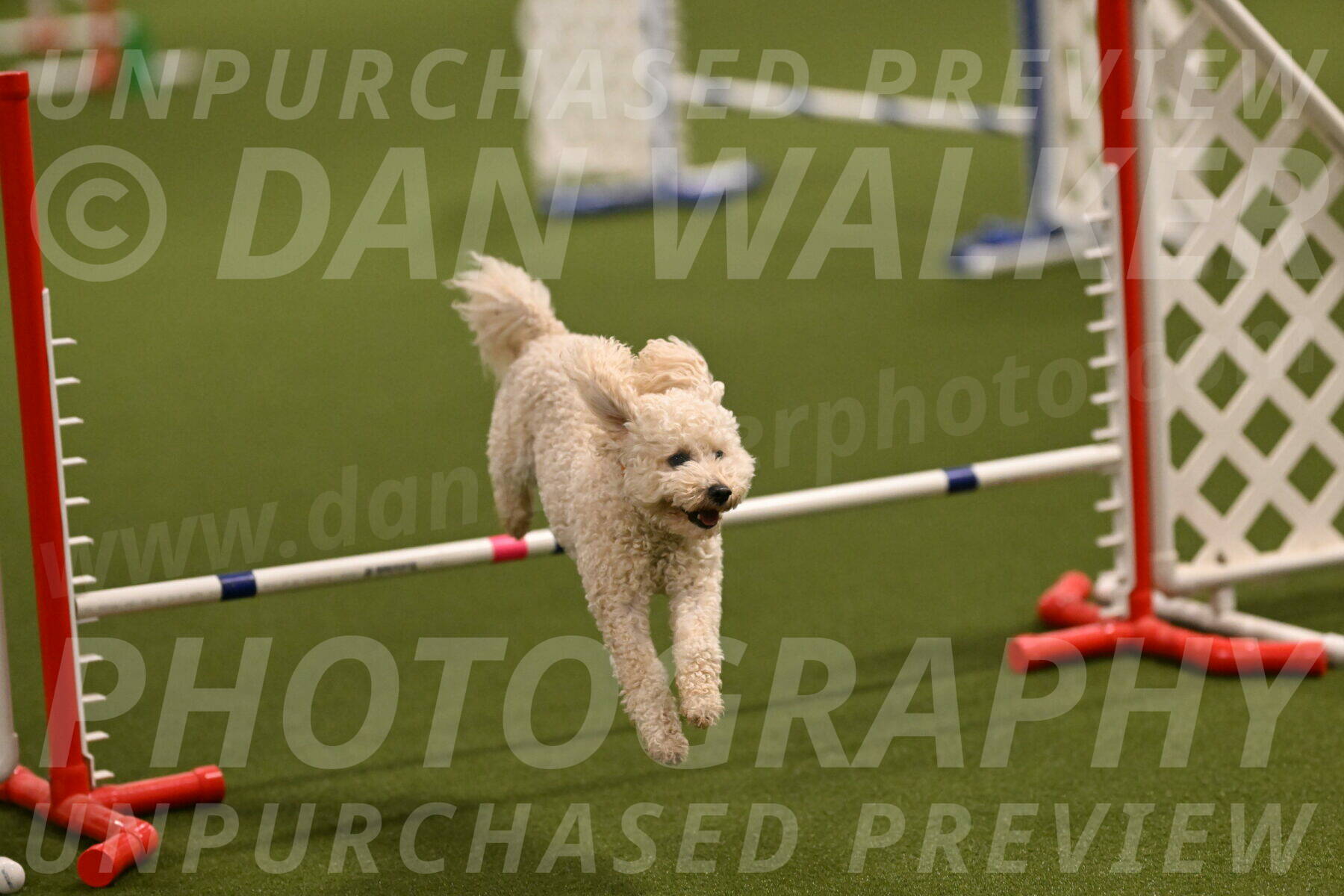 Charlie-Barbara-Thomas-05957