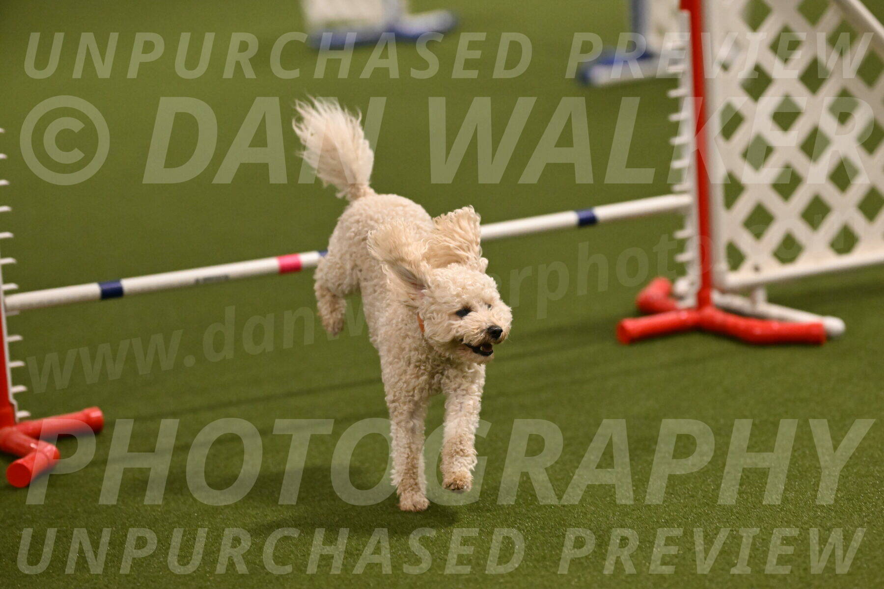 Charlie-Barbara-Thomas-05958