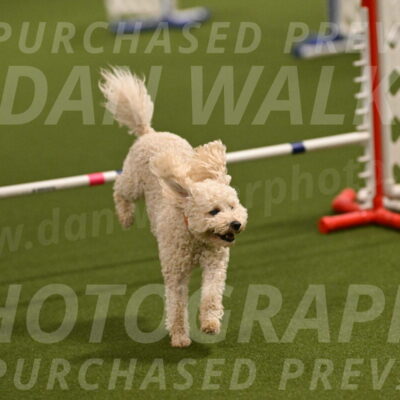 Charlie-Barbara-Thomas-05958