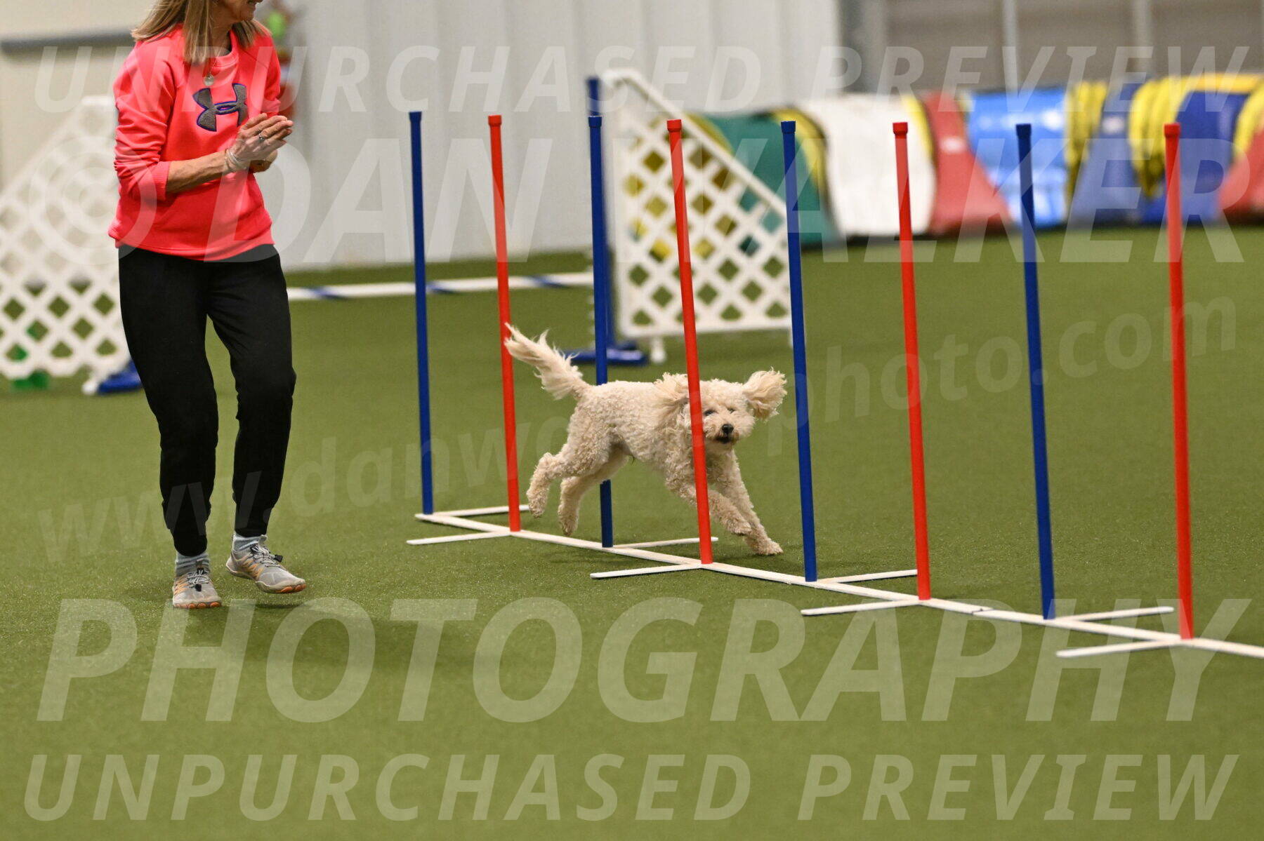 Charlie-Barbara-Thomas-05959