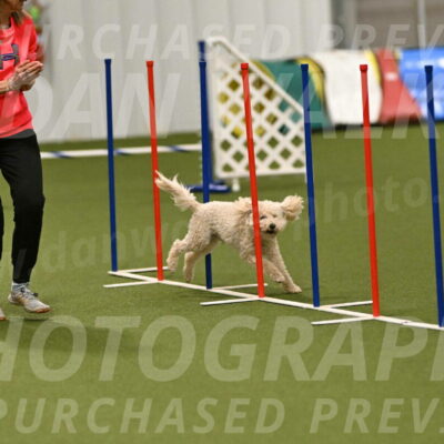 Charlie-Barbara-Thomas-05959