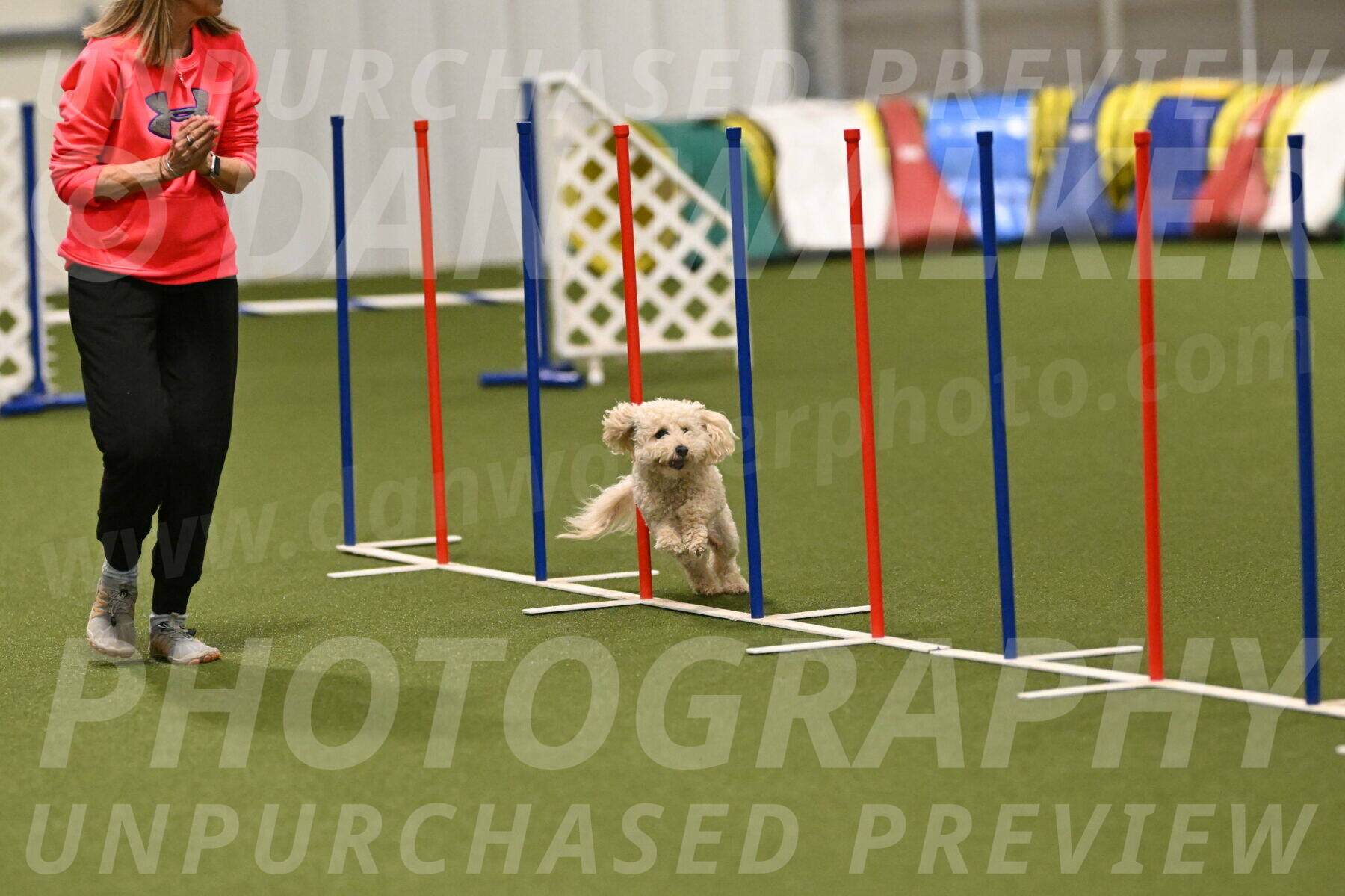 Charlie-Barbara-Thomas-05960