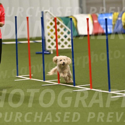 Charlie-Barbara-Thomas-05960