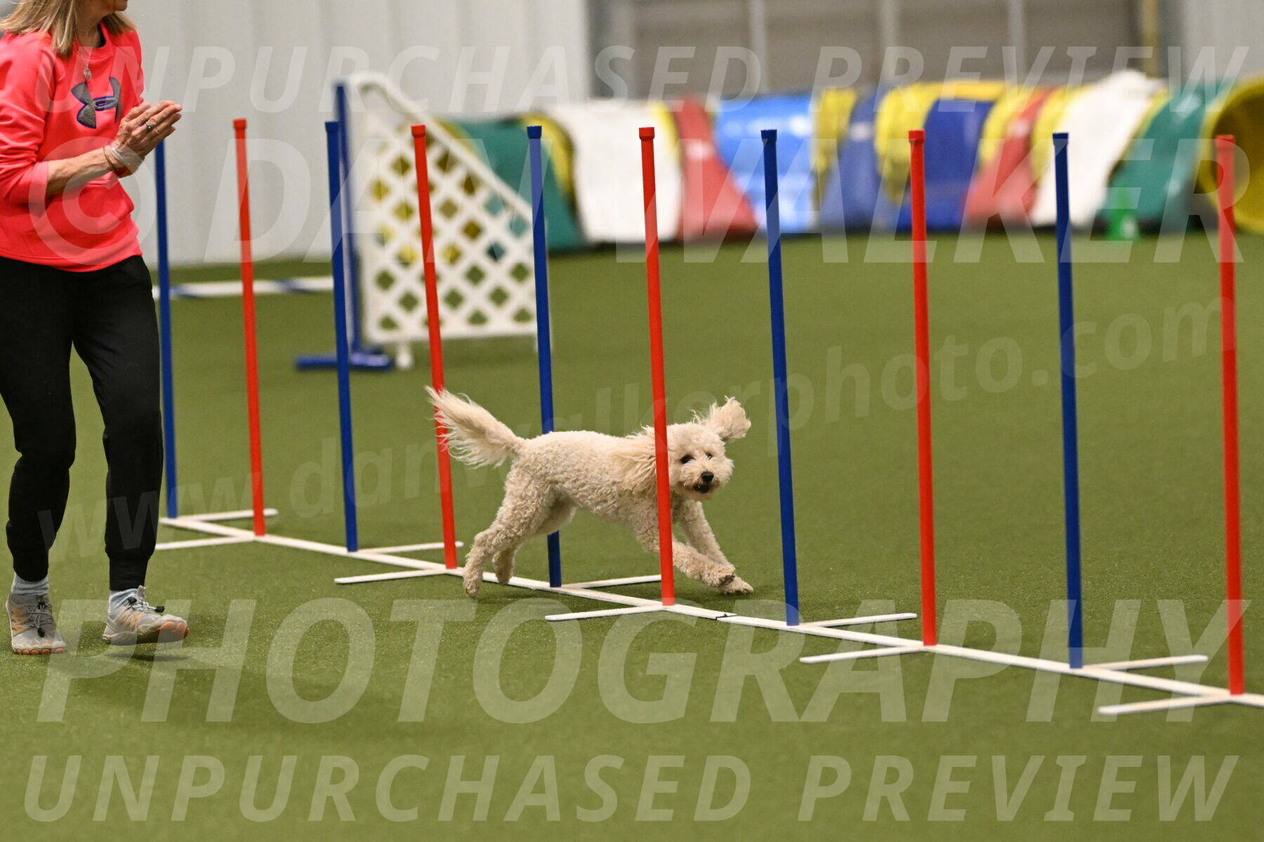 Charlie-Barbara-Thomas-05961