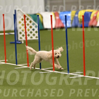 Charlie-Barbara-Thomas-05961