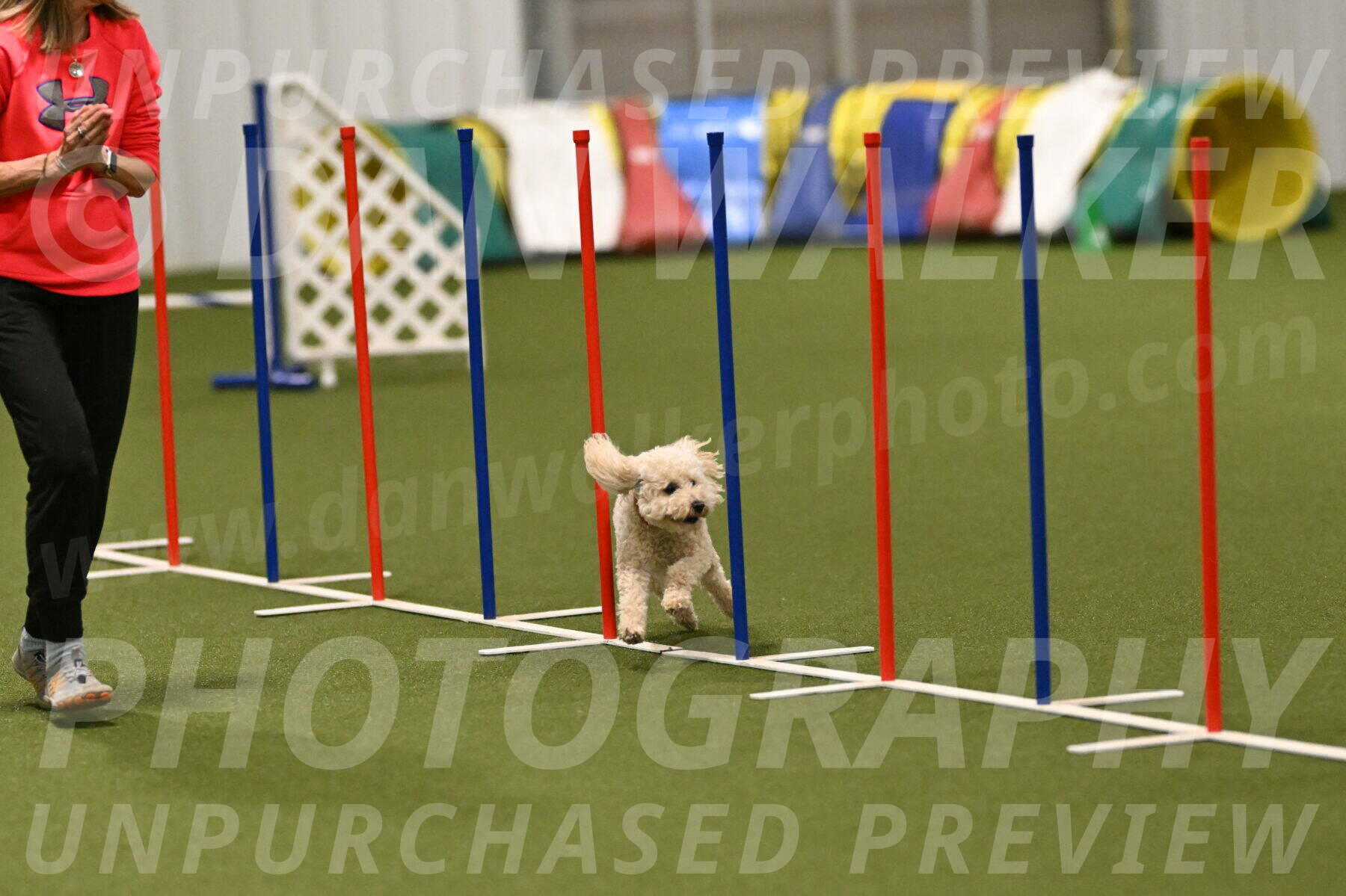 Charlie-Barbara-Thomas-05962