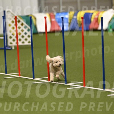 Charlie-Barbara-Thomas-05962