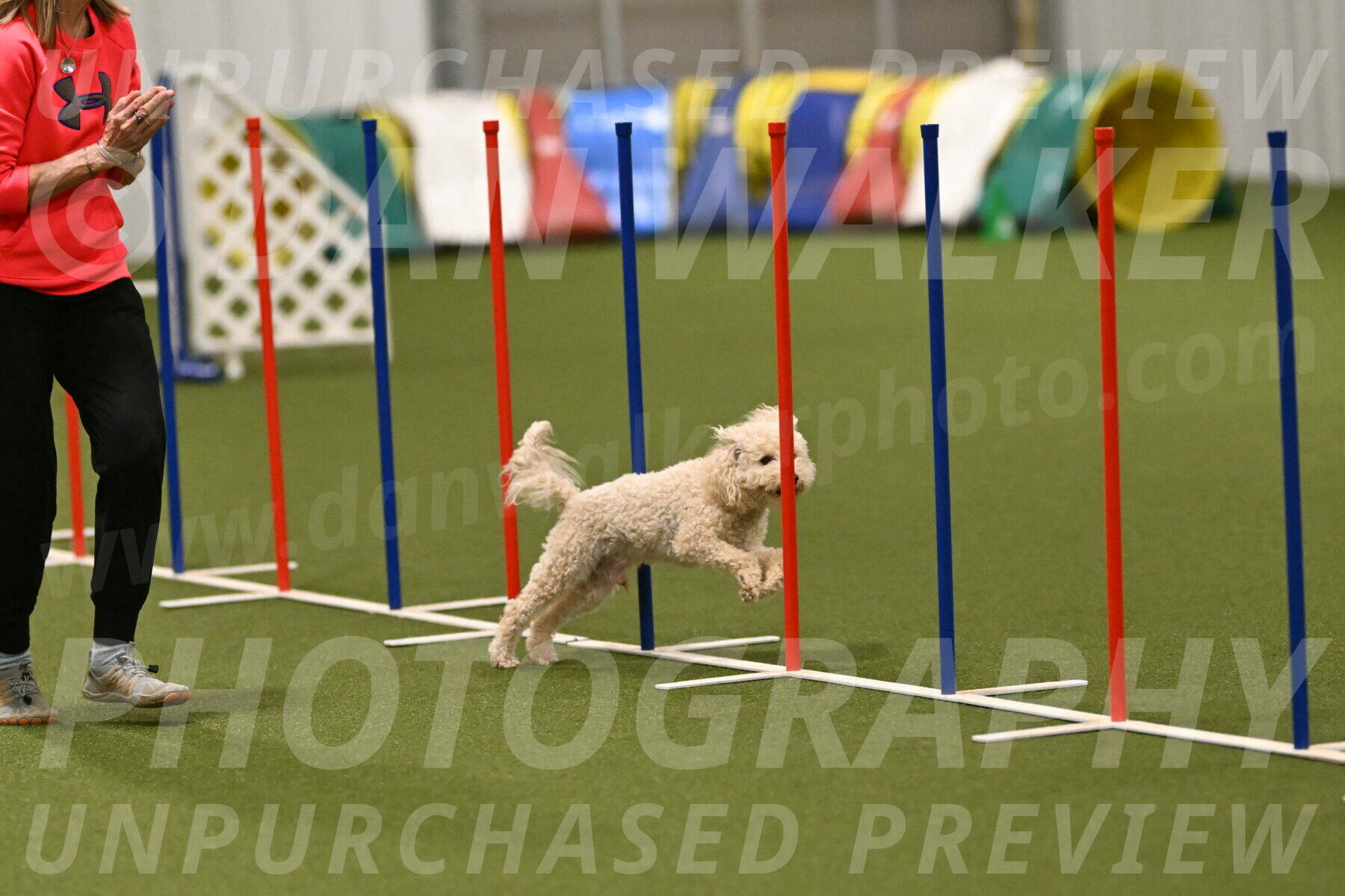 Charlie-Barbara-Thomas-05963