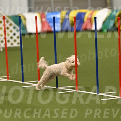 Charlie-Barbara-Thomas-05963