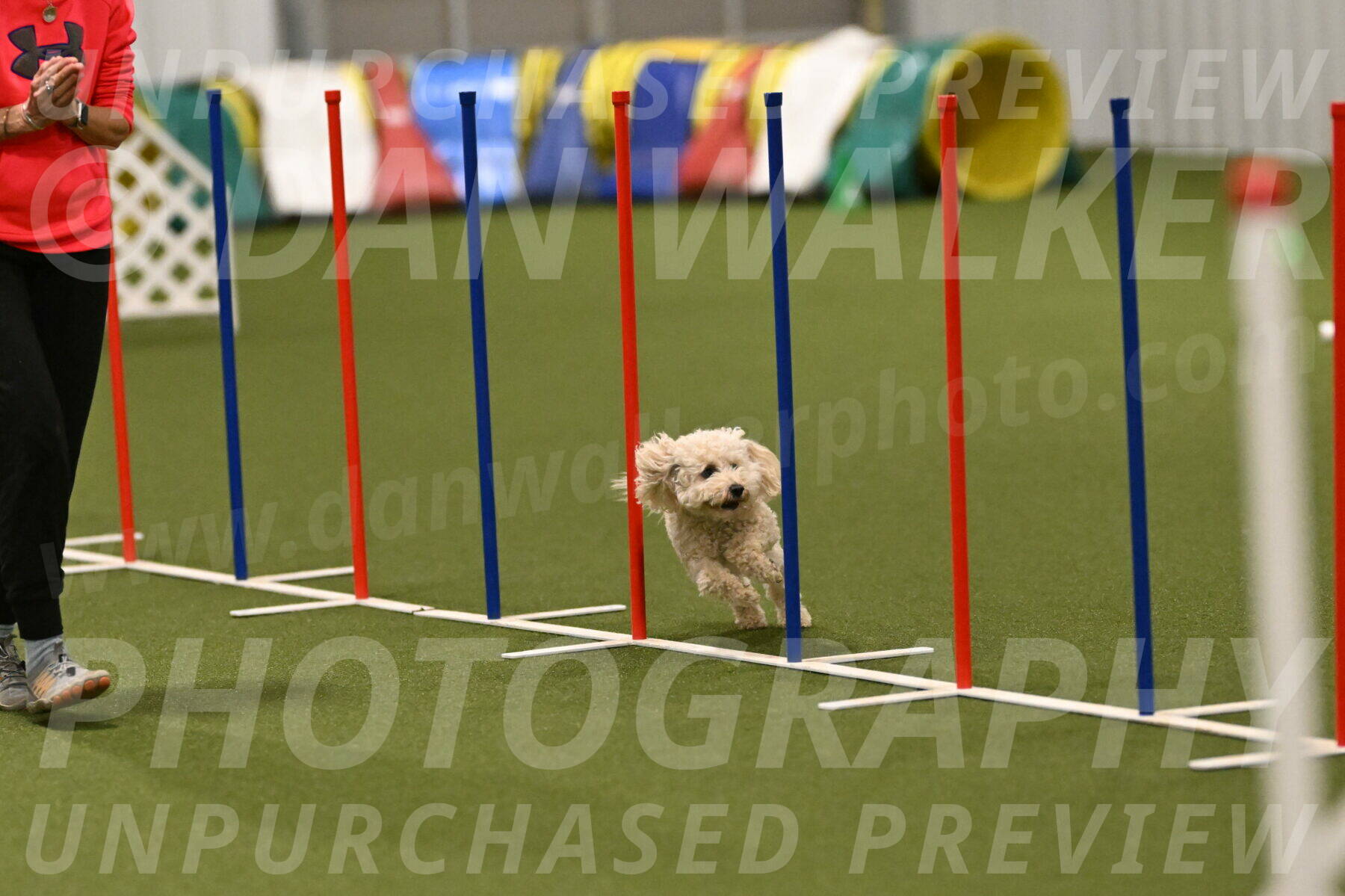 Charlie-Barbara-Thomas-05964