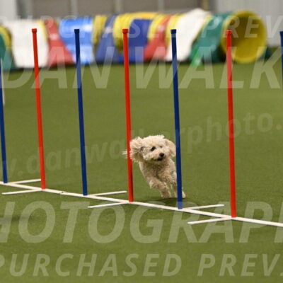 Charlie-Barbara-Thomas-05964