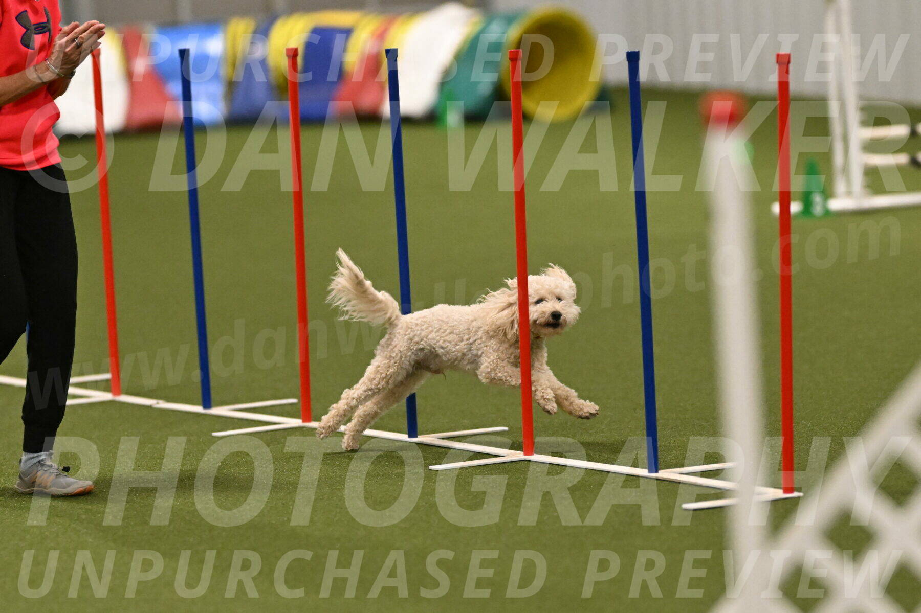 Charlie-Barbara-Thomas-05965