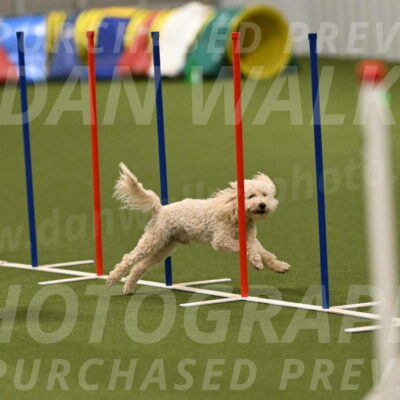 Charlie-Barbara-Thomas-05965