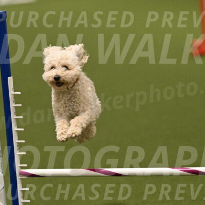 Charlie-Barbara-Thomas-05966