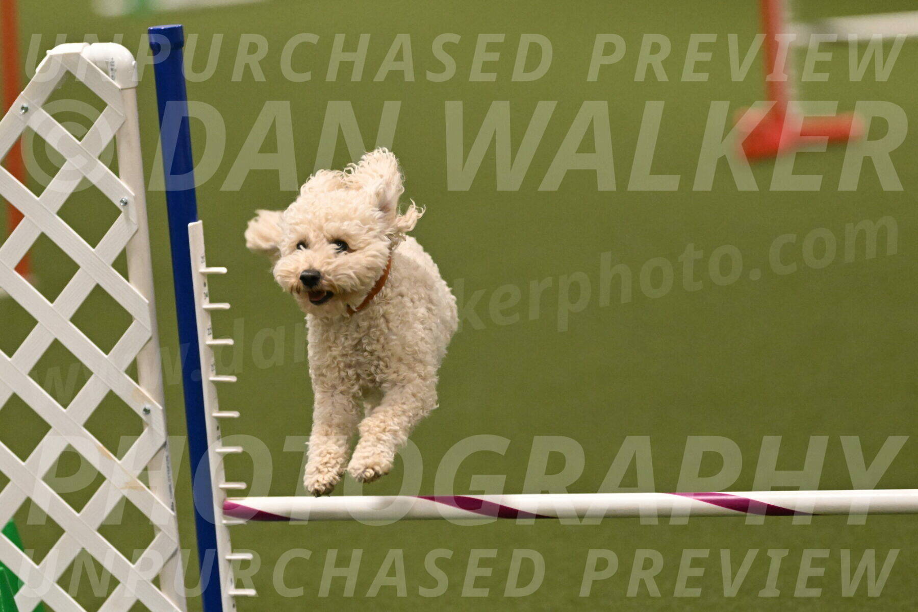 Charlie-Barbara-Thomas-05967