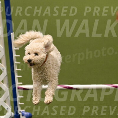 Charlie-Barbara-Thomas-05968