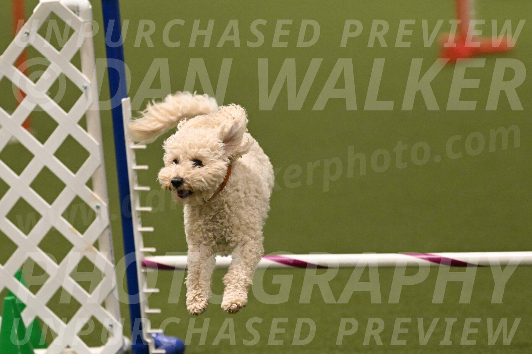 Charlie-Barbara-Thomas-05968