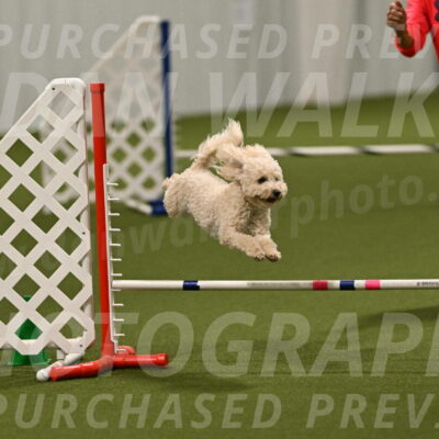 Charlie-Barbara-Thomas-05969