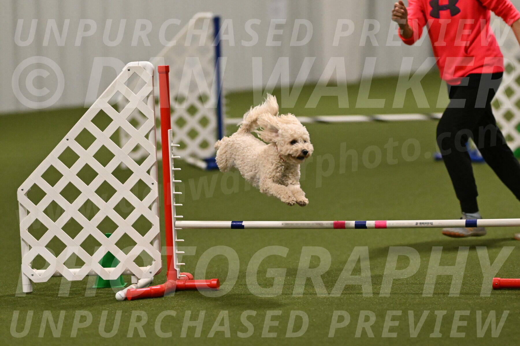 Charlie-Barbara-Thomas-05969