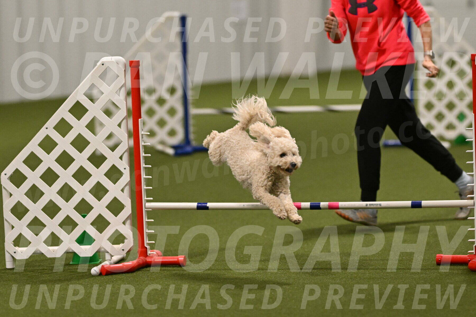 Charlie-Barbara-Thomas-05970