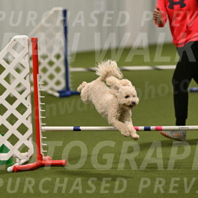 Charlie-Barbara-Thomas-05970