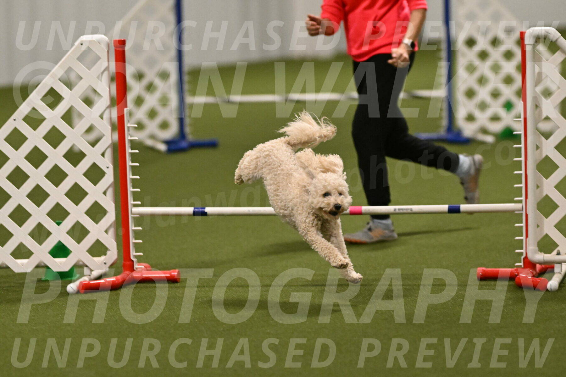 Charlie-Barbara-Thomas-05971