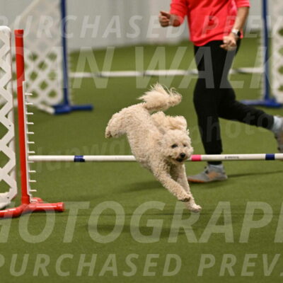 Charlie-Barbara-Thomas-05971