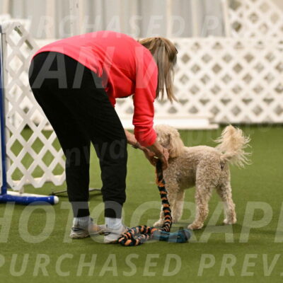 Charlie-Barbara-Thomas-05972