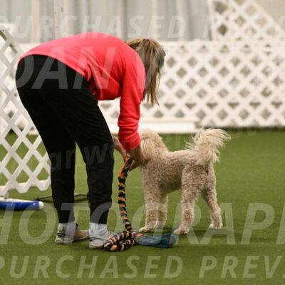 Charlie-Barbara-Thomas-05974