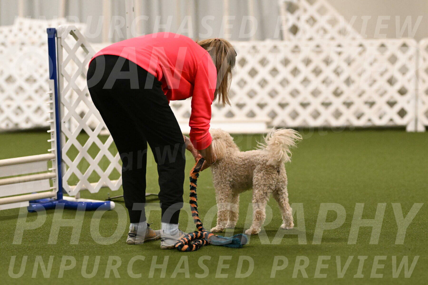 Charlie-Barbara-Thomas-05974