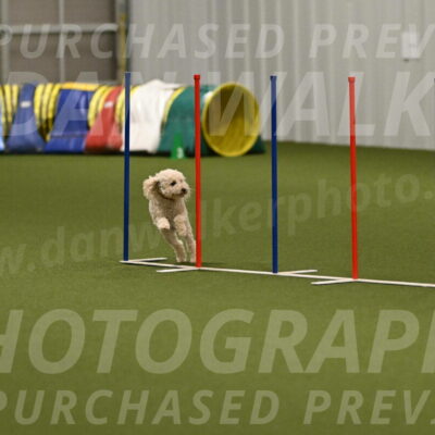 Charlie-Barbara-Thomas-05975